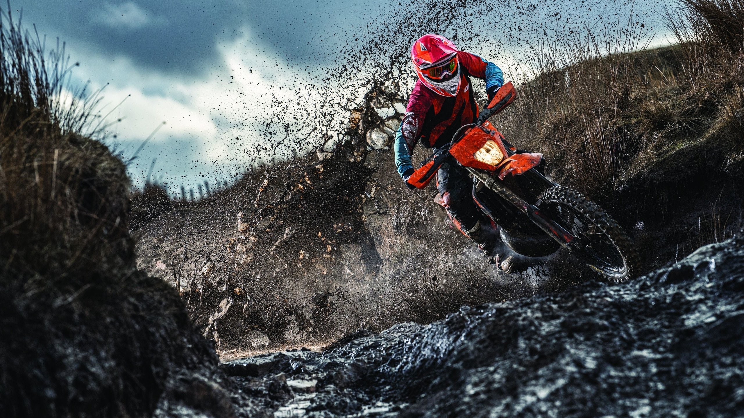 塔图姆连续七场比赛得分惊艳，美国队势不可挡